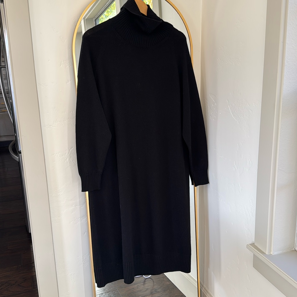 Max Mara Leisure Linda Turtleneck Wool Sweater Dress